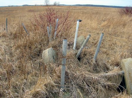 Blue Sky Drive-In Theatre - Speaker Poles - Photo By Www